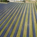 Agricultura y energía fotovoltaica