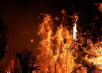 Incendios en Brasil