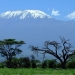 Kilimanjaro