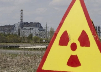 Años después del accidente de la planta nuclear de Chernóbil, los científicos comprueban que la flora, a diferencia de la fauna, cuenta con un desarrollo más flexible y orgánico.
