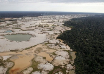 Los recursos requeridos para la preservación del medio ambiente son finitos.