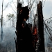 Cualquier cosa que pueda ser escrita queda corta ante los hechos. Lo que sucede en la Amazonía no solo es un problema ambiental. Se trata de un gran reto sociocultural, político, económico y humano