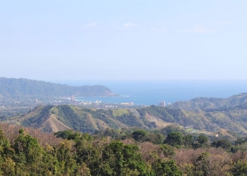 Entre los ejes del Plan Nacional de Descarbonización de Costa Rica está la consolidación de un modelo de gestión de territorios rurales, urbanos y costeros que facilite la protección de la biodiversidad, el incremento y mantenimiento de la cobertura forestal. 
