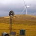 La energía generada en parques eólicos cerca de la ciudad provee la electricidad a los habitantes de Canberra.