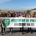 Vertedero Mancomunidad del Sur