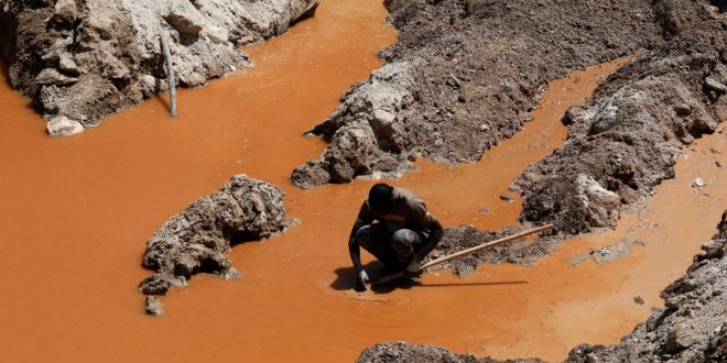 Minería. Oro y el coltán son dos de los minerales más buscados en el sur de Venezuela