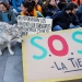 La sociedad civil madrileña ha exigido luchar contra el cambio climático que la COP25 debatirá desde este lunes