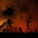 Los incendios forestales en el mundo generan en 2019 un total de CO2 equivalente a 19 veces las emisiones totales de España en un año