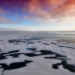 El-Ártico_