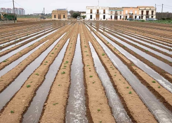 L'Horta-de-Valencia