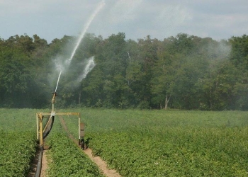 Europa quiere garantizar el riego agrícola con la reutilización de las aguas residuales tratadas