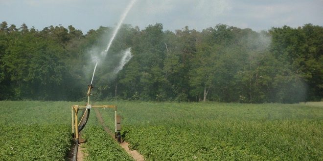 Europa quiere garantizar el riego agrícola con la reutilización de las aguas residuales tratadas