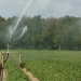 Europa quiere garantizar el riego agrícola con la reutilización de las aguas residuales tratadas