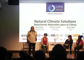 Soluciones naturales para frenar el cambio climático