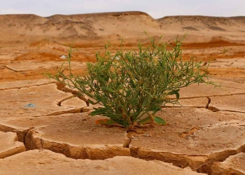 Modelos climáticos