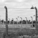 campo de concentración Auschwitz.