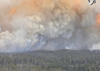 Bomberos logran detener avance de incendios hacia Canberra