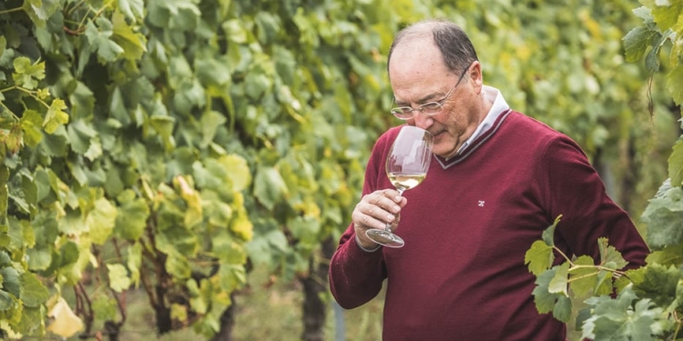 Carlos Moro,Adentrarse en el mundo vitivinícola
