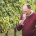 Carlos Moro,Adentrarse en el mundo vitivinícola