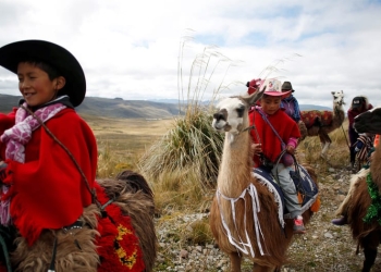 Carrera de llamas por la conservación de los humedales en Ecuador