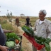 La Obra Social la Caixa impulsa proyectos de desarrollo social del medio rural.jpg