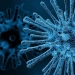El virus de la estomatitis vesicular quimérica (VSV) que expresa la glucoproteína EBOV (GP) podría atacar selectivamente los tumores cerebrales/Imagen: Pixabay Archivo