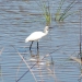 Parque Doñana