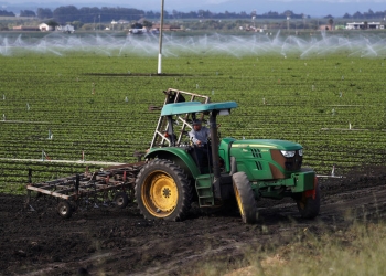 Gobierno favorece contratación temporal de trabajadores en sector agrario