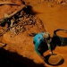 SOSOrinoco: Maduro acelera minería