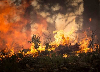 incendios forestales en Venezuela