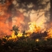 incendios forestales en Venezuela