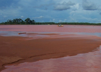 Amazonía brasileña minería ilegal