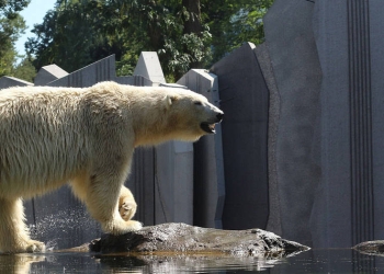 Un zoológico de Alemania