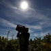 Un trabajador temporal de Bulgaria lleva una caja de uvas durante la cosecha en Moradillo de Roa, en el centro de España, el 2 de octubre de 2018. REUTERS / Sergio Perez