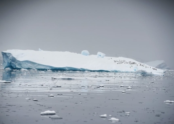 Hielo marino antártico