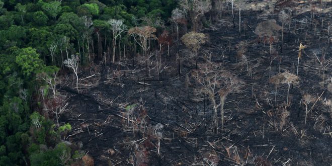 Deforestación en Brasil