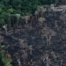 Deforestación en Brasil