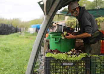 COVER-WEB-productos-quimicos-autorizados-envenenan-el-agua-y-los-alimentos-2