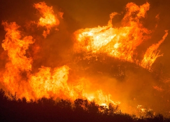 El incendio de Paradise o Camp Fire, que se logró controlar dos semanas después de iniciarse, acabó con más de 10.000 casas y con casi 62.000 hectáreas de bosques/ Pixabay / Foto referencial