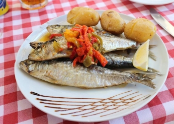 Microplásticos y parásitos en sardinas y anchoas