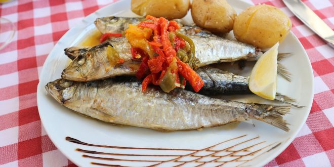 Microplásticos y parásitos en sardinas y anchoas