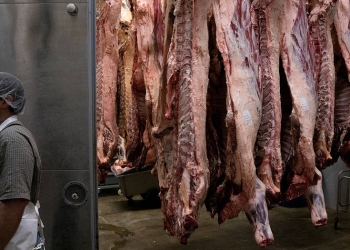 Galen Newswanger camina por el casillero de carne en Newswanger Meats en Shiloh, Ohio, EE. UU., 13 de mayo de 2020 mientras continúa el brote de la enfermedad por coronavirus (COVID-19). Fotografía tomada el 13 de mayo de 2020. REUTERS / Dane Rhys
