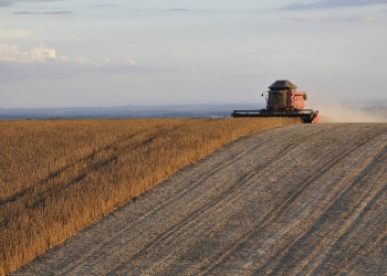 Ecologistas en Acción monocultivo de soja