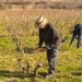 agricultores recorte del PAC