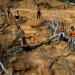 Incendios forestales Amazonas