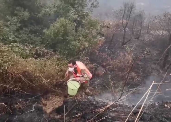 Un bombero voluntario camina para llenar un balde de agua a fin de controlar el incendio forestal de Monte Fundeiro el 26 de julio de 2020. Imagen fija que se tomó de un video de las redes sociales. Aprosoc por vía REUTERS.
