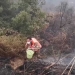 Un bombero voluntario camina para llenar un balde de agua a fin de controlar el incendio forestal de Monte Fundeiro el 26 de julio de 2020. Imagen fija que se tomó de un video de las redes sociales. Aprosoc por vía REUTERS.