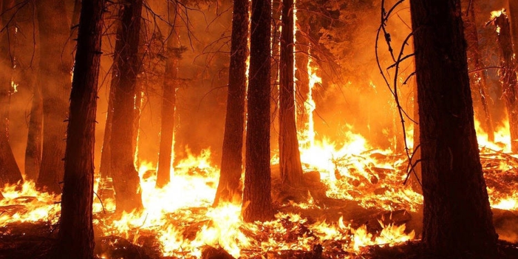 incendios en Australia