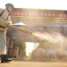 Peste bubónica en China: ¿Nuevo motivo de alarma?