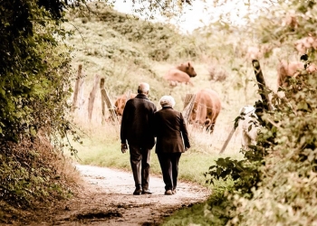 sistema de pensiones español